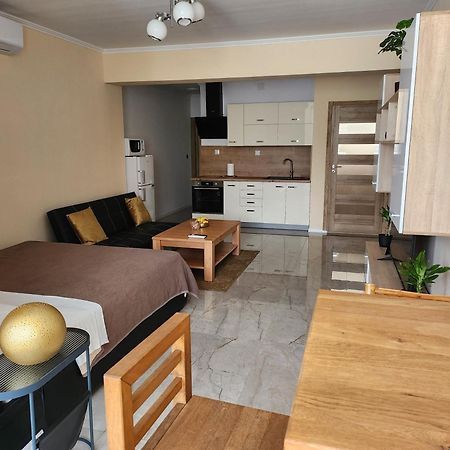 Studio Apartman Borlin Karlovac Exterior foto