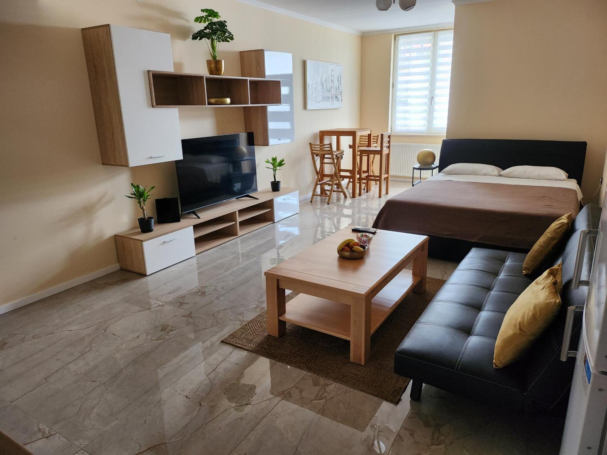 Studio Apartman Borlin Karlovac Exterior foto